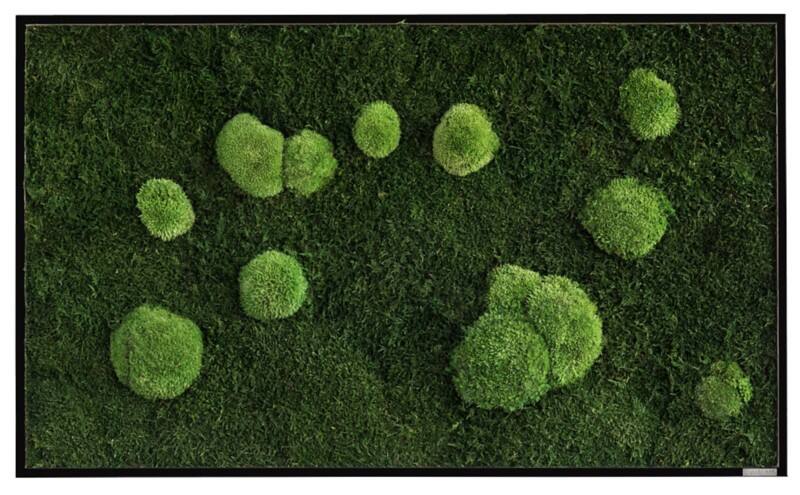 Mur de mousse best of GREEN 100 x 4 x 60 cm