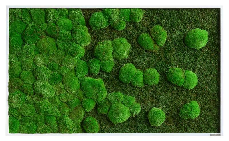 Mur de mousse best of GREEN 100 x 4 x 60 cm