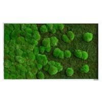 Mur de mousse best of GREEN 100 x 4 x 60 cm