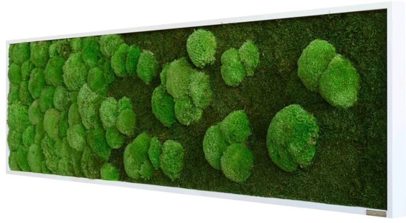 Mur de mousse best of GREEN 140 x 4 x 40 cm