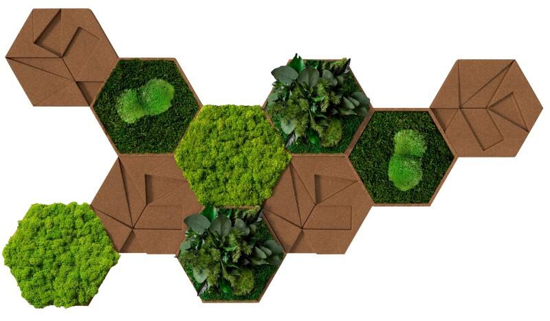 Carreaux décoratifs muraux best of GREEN Liège Hexagonal 10 unités Brun, vert