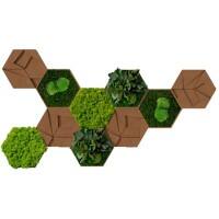 Carreaux décoratifs muraux best of GREEN Liège Hexagonal 10 unités Brun, vert