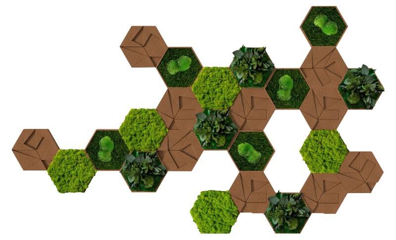 Carreaux décoratifs muraux best of GREEN Liège Hexagonal 25 unités Brun, vert