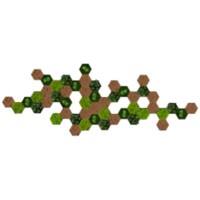 Carreaux décoratifs muraux best of GREEN Liège Hexagonal 50 unités Brun, vert