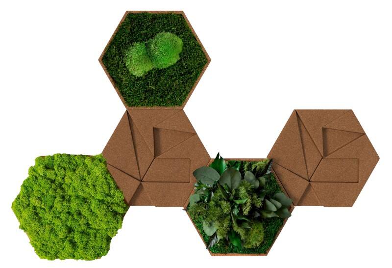Carreaux décoratifs muraux best of GREEN Liège Hexagonal 5 unités Brun, vert