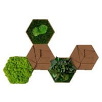 Carreaux décoratifs muraux best of GREEN Liège Hexagonal 5 unités Brun, vert