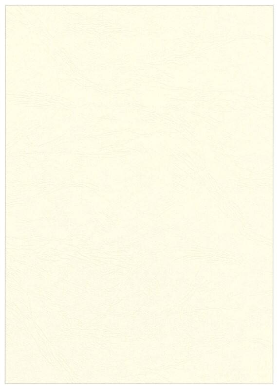 Fellowes Inbindkaft Pulp Ivoor Pak van 100 stuks