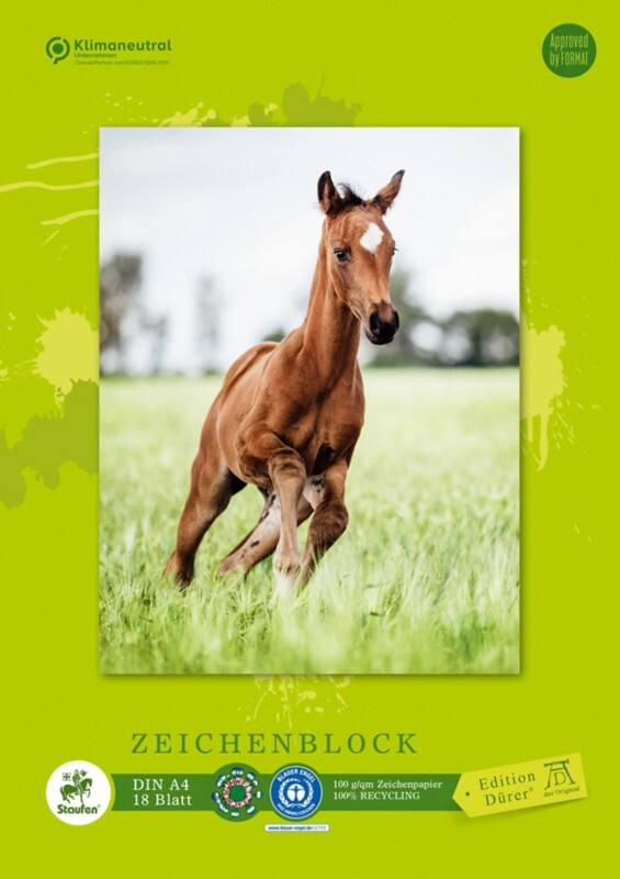 Staufen Dürer Green Grafisch tekenblok A4 18 vellen 100 g/m² 4 motieven