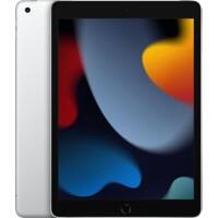 Apple iPad Zilver Wi-Fi 64 GB 25,9 cm (10,2")