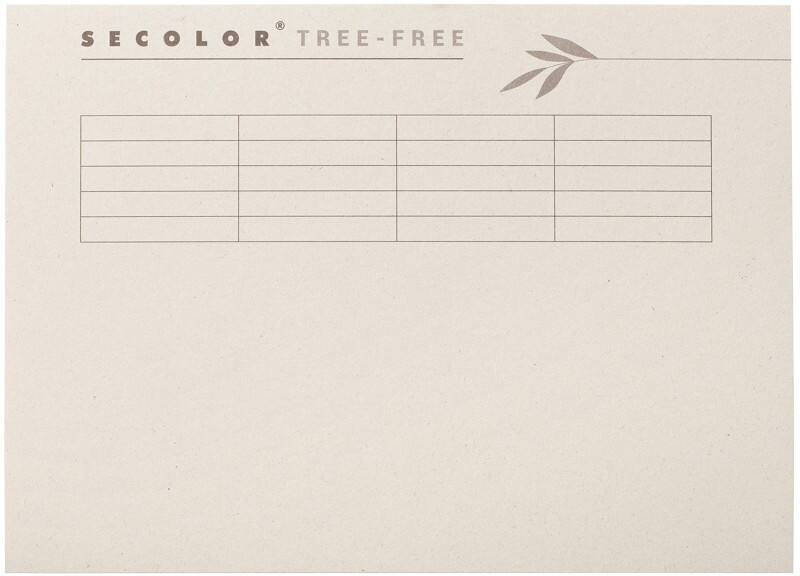 Farde à bord décalé Djois Secolor Tree-Free Folio Crème Carton Recyclé 100% 225 g/m² 10 Unités