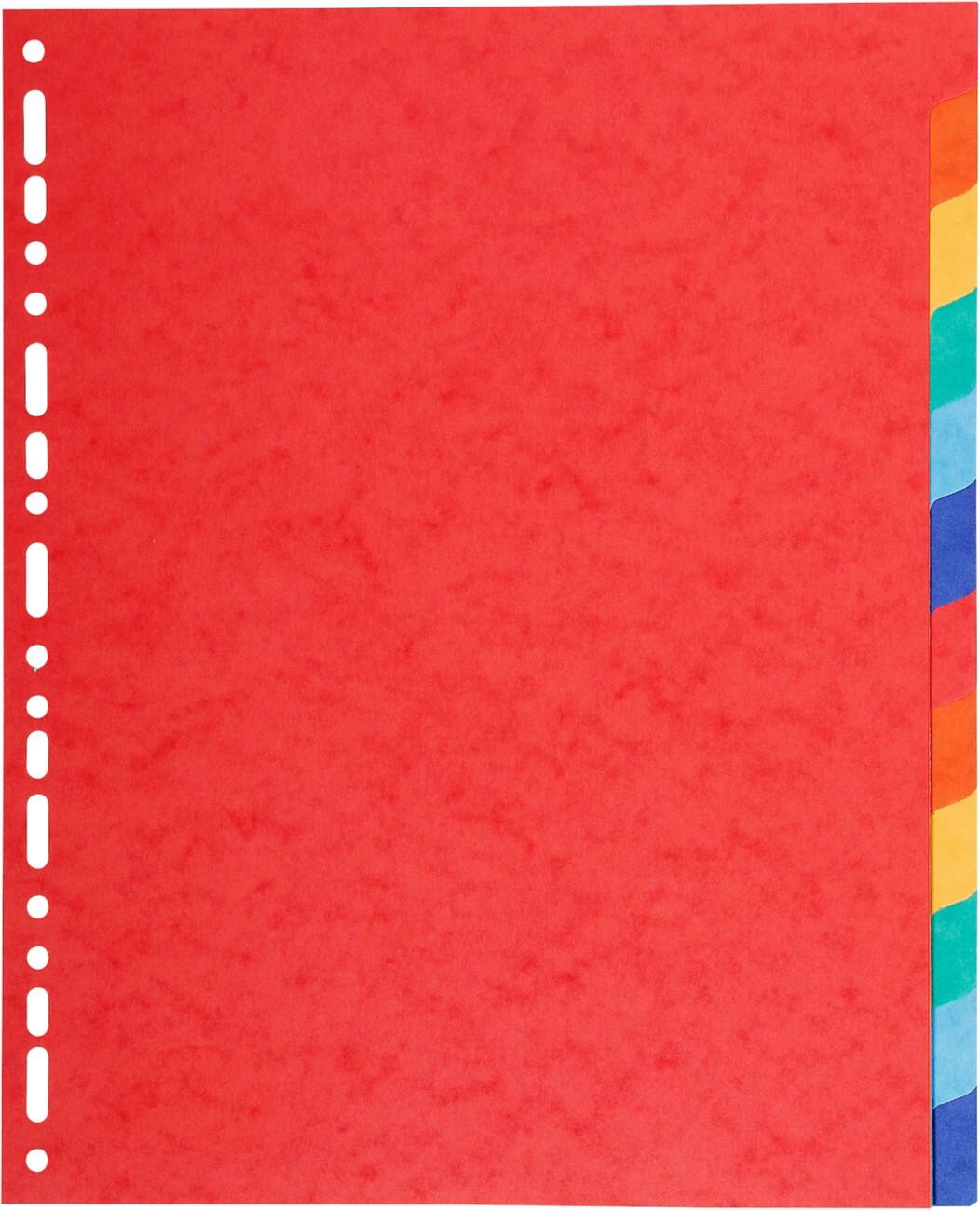 Exacompta Tabbladen 112E A4+ Kleurenassortiment 12 tabs 220 g/m² Karton
