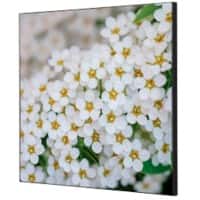 Cadre tissu SHOWDOWN White Flower Multicolore Aluminium