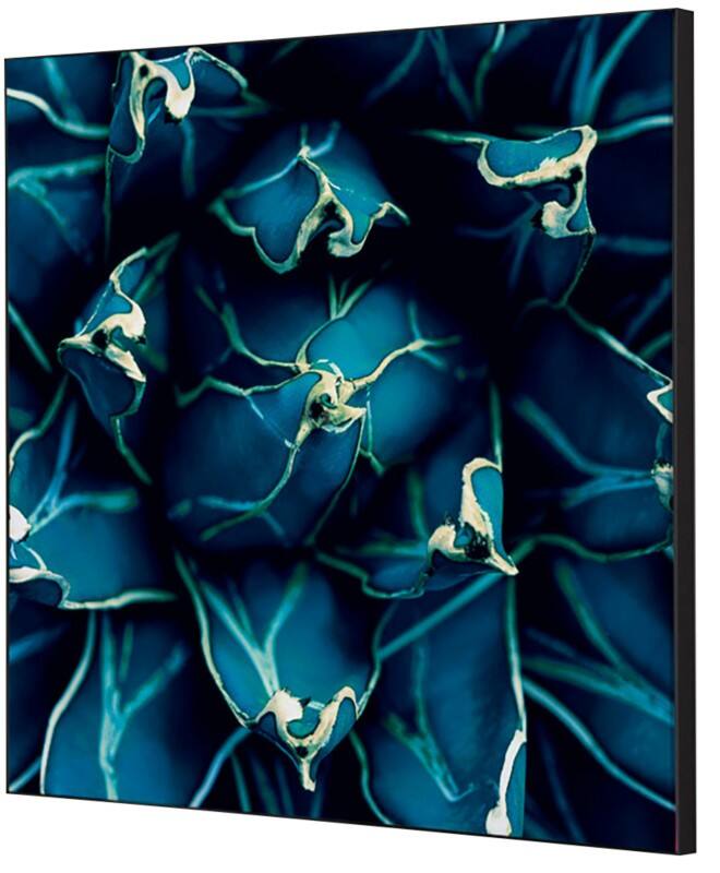 SHOWDOWN Cactus Textielen Wanddecoratie Multikleur Aluminium