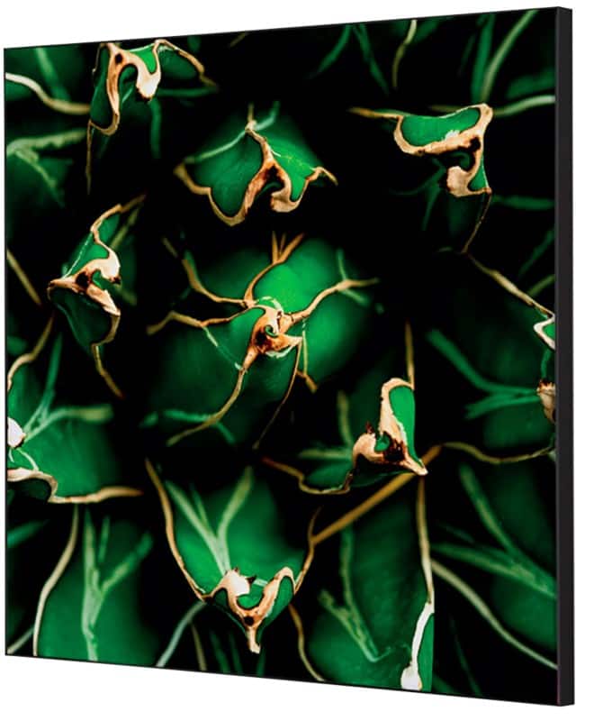 SHOWDOWN Cactus Textielen Wanddecoratie Multikleur Aluminium