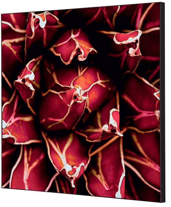 SHOWDOWN Cactus Textielen Wanddecoratie Multikleur Aluminium