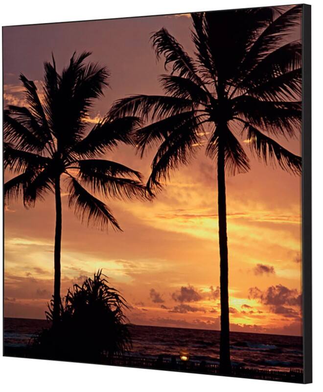 SHOWDOWN Palmtrees Sunset Textielen Wanddecoratie Multikleur Aluminium