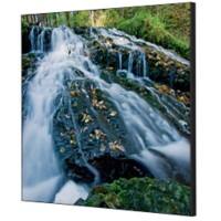 Cadre tissu SHOWDOWN Waterspring Forest Multicolore Aluminium