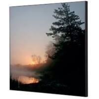 Cadre tissu SHOWDOWN Forest Sunrise Multicolore Aluminium