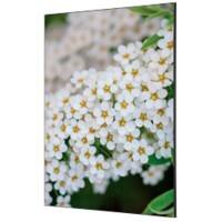 Cadre tissu SHOWDOWN White Flower Multicolore Aluminium