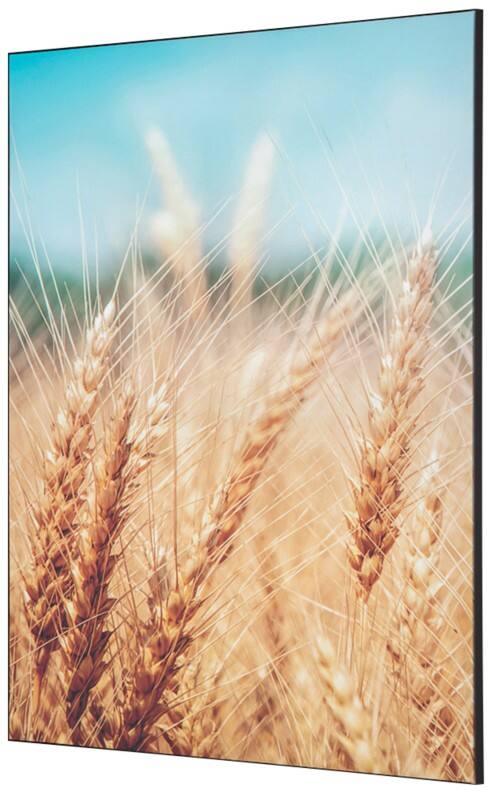 Cadre tissu SHOWDOWN Grain Field Multicolore Aluminium