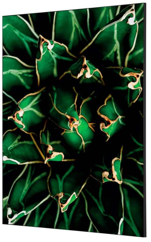 SHOWDOWN Cactus Textielen Wanddecoratie Multikleur Aluminium