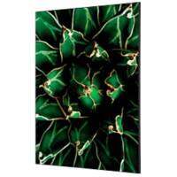 Cadre tissu SHOWDOWN Cactus Multicolore Aluminium