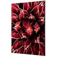 Cadre tissu SHOWDOWN Cactus Multicolore Aluminium