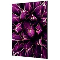 Cadre tissu SHOWDOWN Cactus Multicolore Aluminium