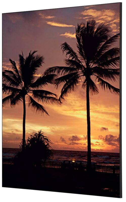 SHOWDOWN Palmtrees Sunset Textielen Wanddecoratie Multikleur Aluminium