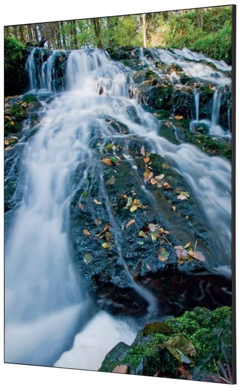 SHOWDOWN Waterspring Forest Textielen Wanddecoratie Multikleur Aluminium