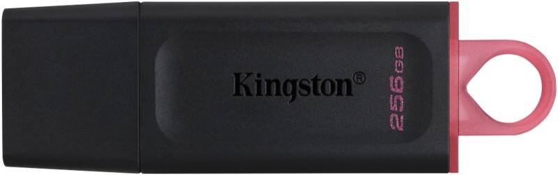 Kingston DataTraveler Exodia USB-stick 256 GB Roze, zwart