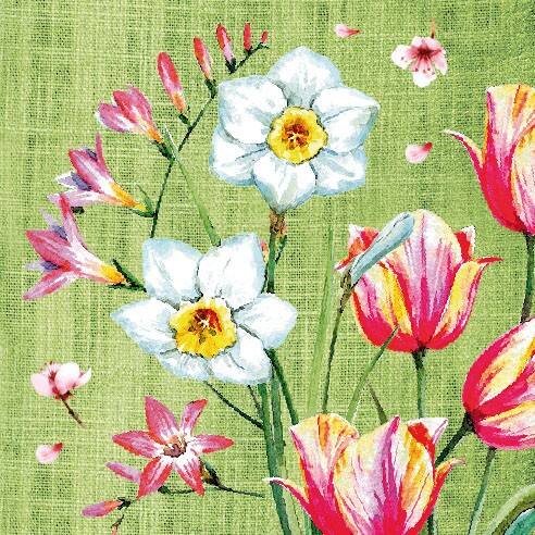 Serviettes PAPSTAR Serviettes Multicolore 50 unités