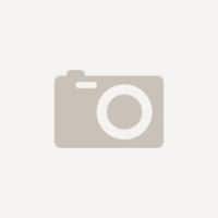 Djois Veiligheidsbord Pictogram Ingang Klevend, schroeven PP (Polypropeen) 10 (B) x 0,14 (H) cm