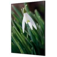 SHOWDOWN White Flower Textielen Wanddecoratie Multikleur Aluminium