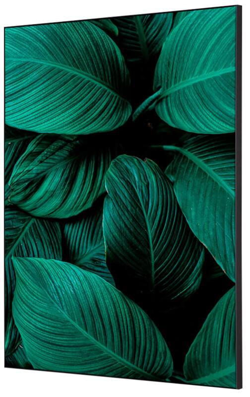 SHOWDOWN Botanical Leaves Textielen Wanddecoratie Multikleur Aluminium