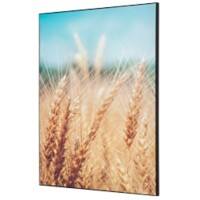 Cadre tissu SHOWDOWN Grain Field Multicolore Aluminium