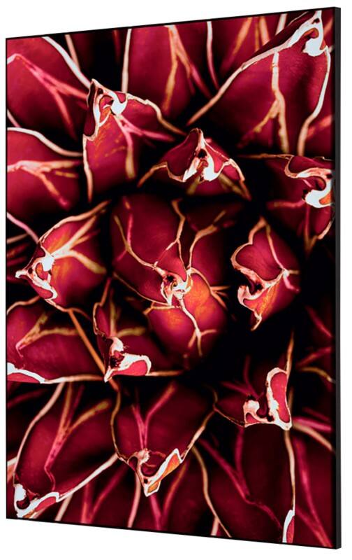 Cadre tissu SHOWDOWN Cactus Multicolore Aluminium