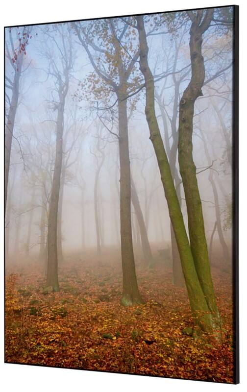 Cadre tissu SHOWDOWN Autumn Mist Multicolore Aluminium