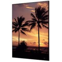 SHOWDOWN Palmtrees Sunset Textielen Wanddecoratie Multikleur Aluminium