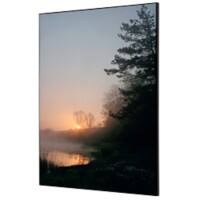 SHOWDOWN Forest Sunrise Textielen Wanddecoratie Multikleur Aluminium