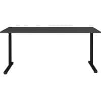 GERMANIA PROFI 2.0 In hoogte verstelbaar Bureau Grafiet 1.600 (B) x 800 (D) x 800 (H) mm