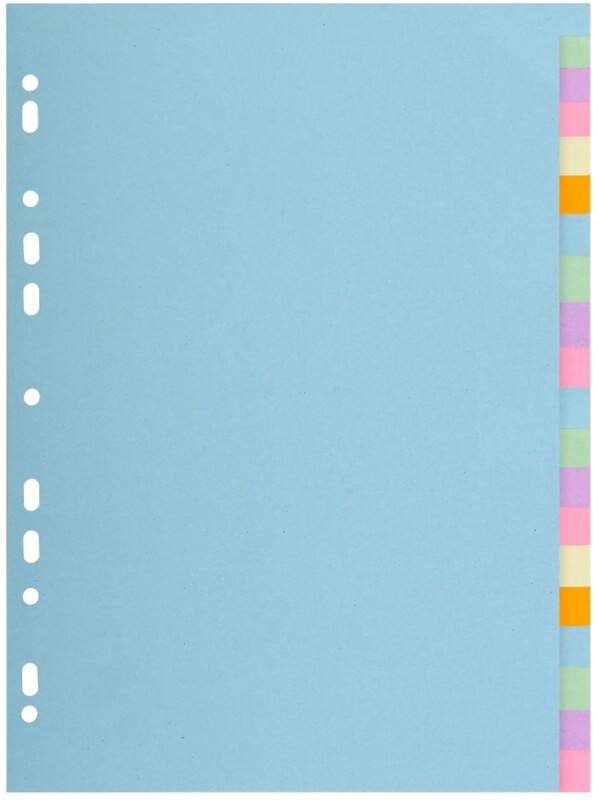 Exacompta Forever Blanco tabbladen Kleurenassortiment 20 tabs 170 g/m² Karton 2620E