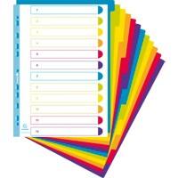 Intercalaires Exacompta Campus Vierges A4+ Onglets assortis 12 parties PP (Polypropylène) 11 perforations 3812E 15 unités