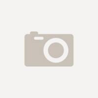 Djois Veiligheidsbord Pictogram Hond Klevend, schroeven PP (Polypropeen) 15 (B) x 0,14 (H) cm