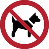 Panneau de sécurité Djois Chien non admis PP (Polypropylène) 20 (l) x 0,14 (h) cm 3 Unités