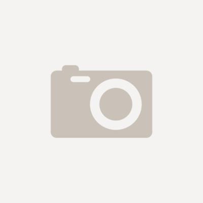 Djois Veiligheidsbord Waarschuwing: waakhond Klevend, schroeven PP (Polypropeen) 15 (B) x 0,14 (H) cm