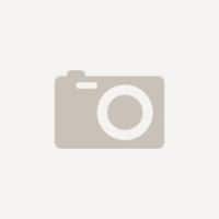 LG 86,4 cm (34") LCD Monitor 34BA75QE-B.AEU Zwart