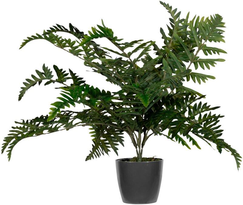 Plante artificielle meet powered by PAPERFLOW Fougère 55 cm Vert