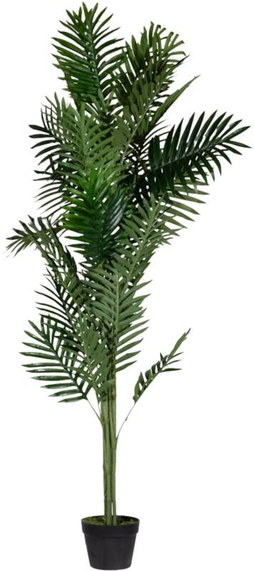 Plante artificielle meet powered by PAPERFLOW Palmier 160 cm Vert