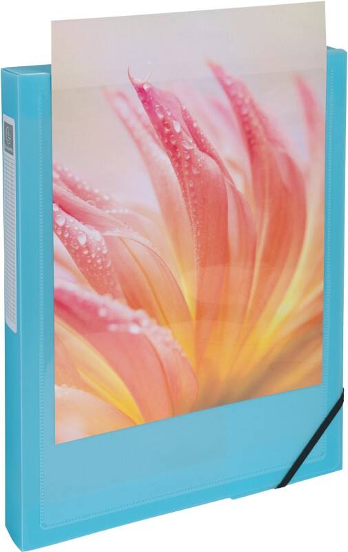 Exacompta Kreacover Pastel Archiefdoos 59279E A4 PP (Polypropeen) Elastiek 25 (B) x 4 (D) x 33 (H) cm Kleurenassortiment 40 mm 5 Stuks